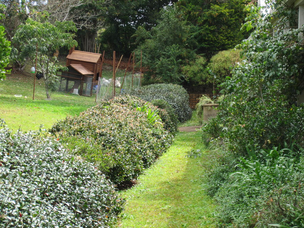 Eden Lodge Nambour Exteriör bild